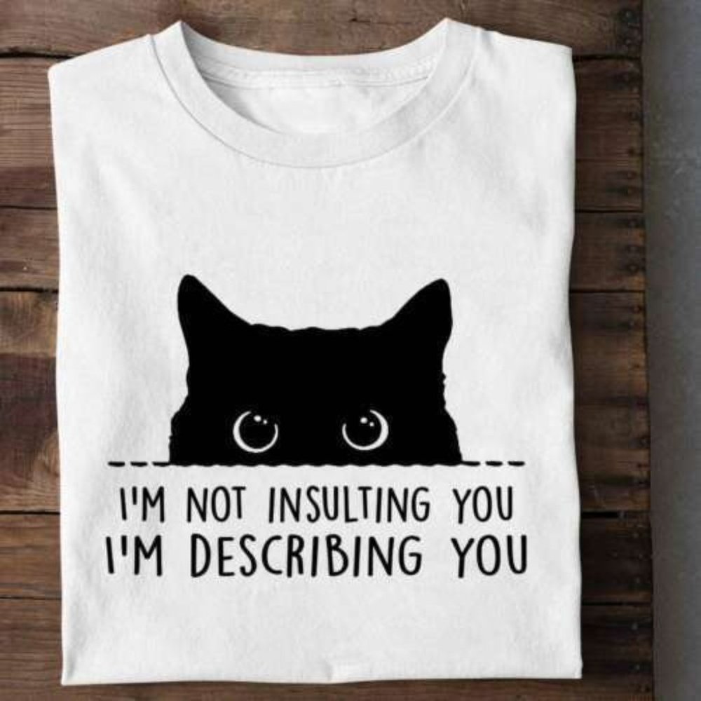 I'm not sindusting you I'm describing you T-shirt, black cat staring